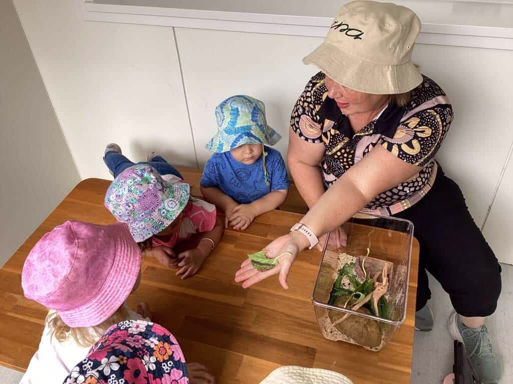 una-springwood-learning-activities